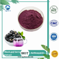 Extrato de Wolfberry Negra Natural Puro Anthocianidina 5%-25%